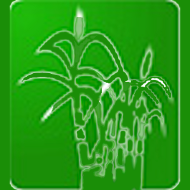 Ewa Credit Union